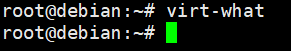 物理机运行virt-what无输出