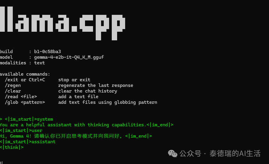 Gemma 4 在 llama.cpp 终端中的运行界面