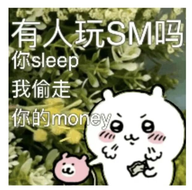 仓鼠偷钱表情包