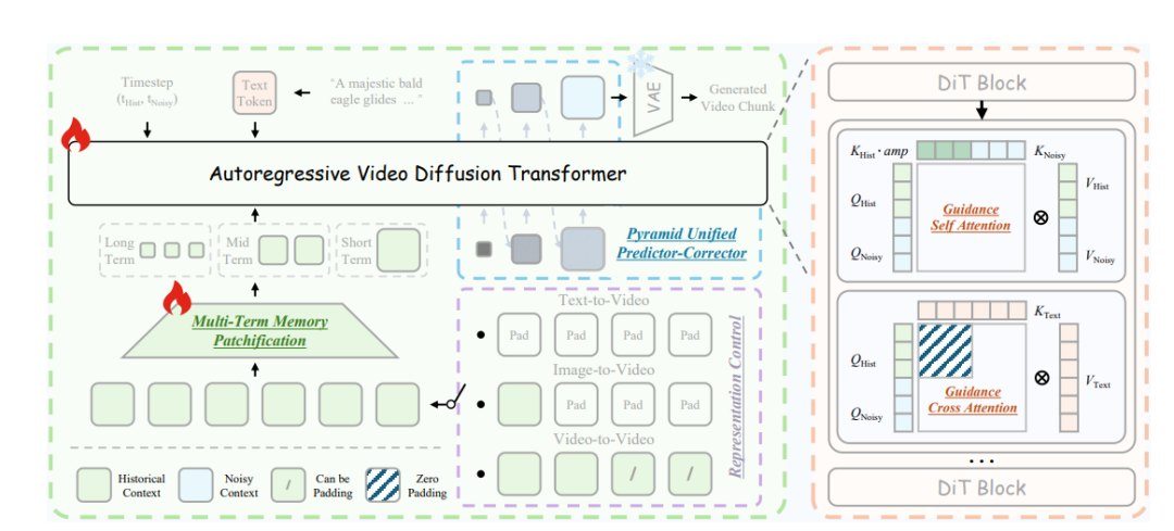 自回归视频扩散Transformer架构图