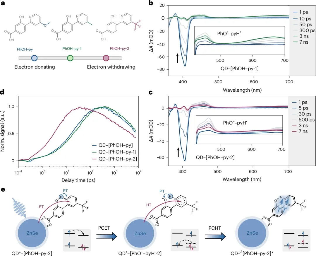 不同取代基酚-吡啶分子的结构、瞬态光谱及调控后的PS-TET机制示意图