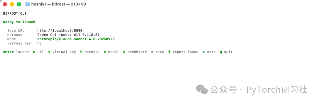 在 Bifrost CLI 中选择 Codex 作为适配层