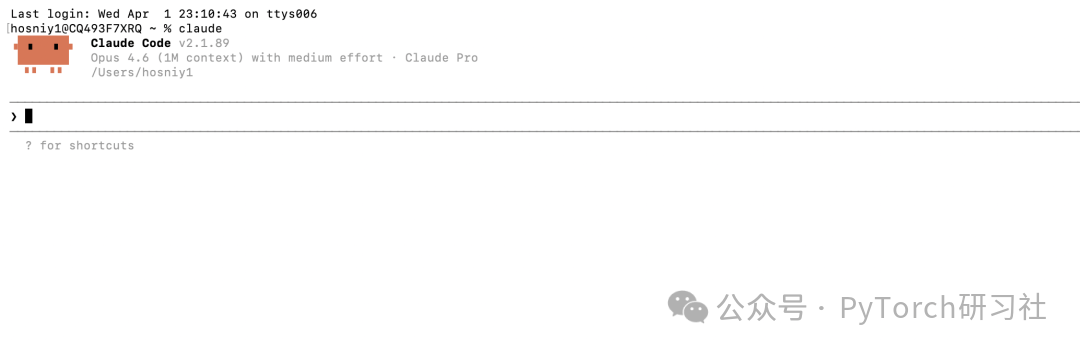 Claude Code 终端界面