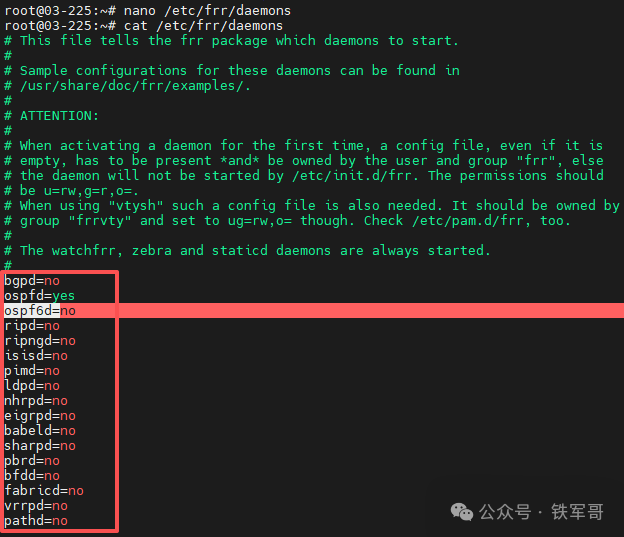启用OSPF守护进程