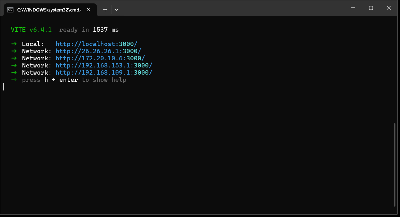 Vite 开发服务器启动成功信息