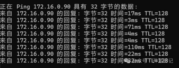 蒲公英虚拟 IP 网络连通性 Ping 测试