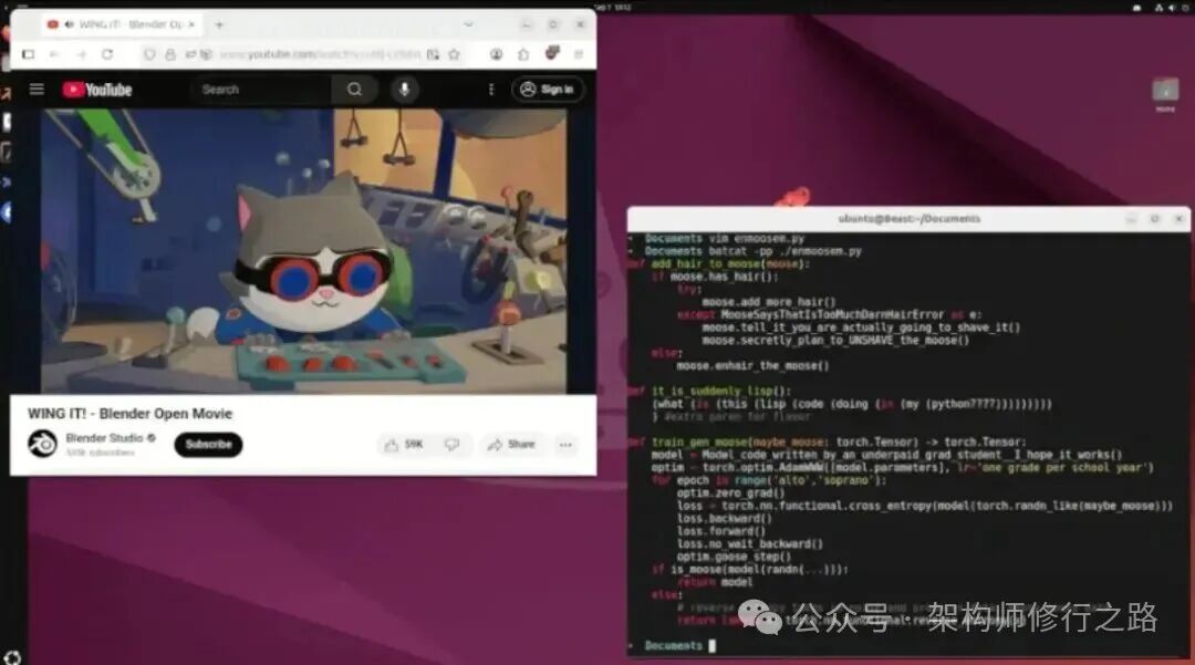 终端内运行YouTube视频与Python代码