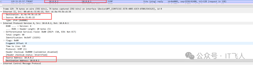 Server1发出的ICMP回复包详情