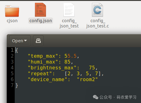保存后 config.json 的实际内容,确认各项修改均已生效
