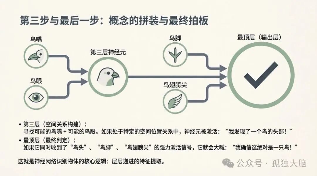 神经网络识别物体的核心逻辑：层层递进的特征提取