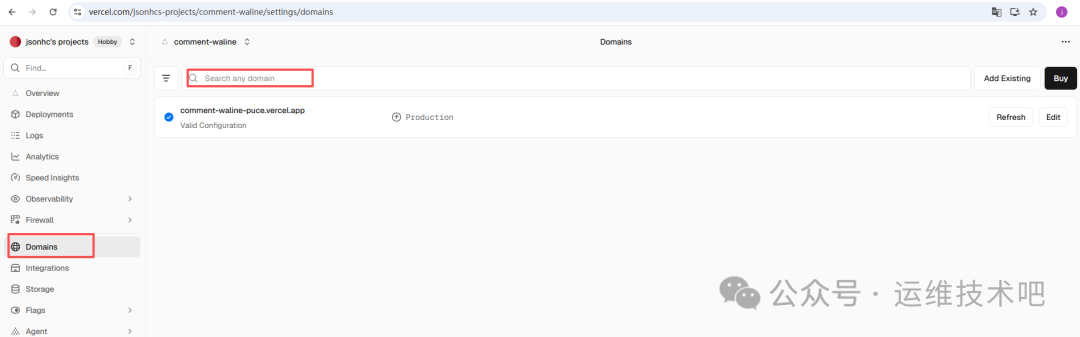 Vercel项目域名管理页面