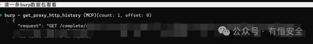 Burp Suite历史数据包读取示例