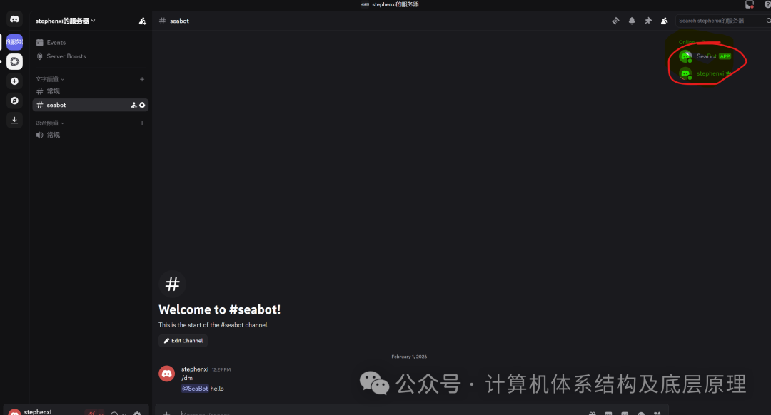 Discord频道中看到在线Bot