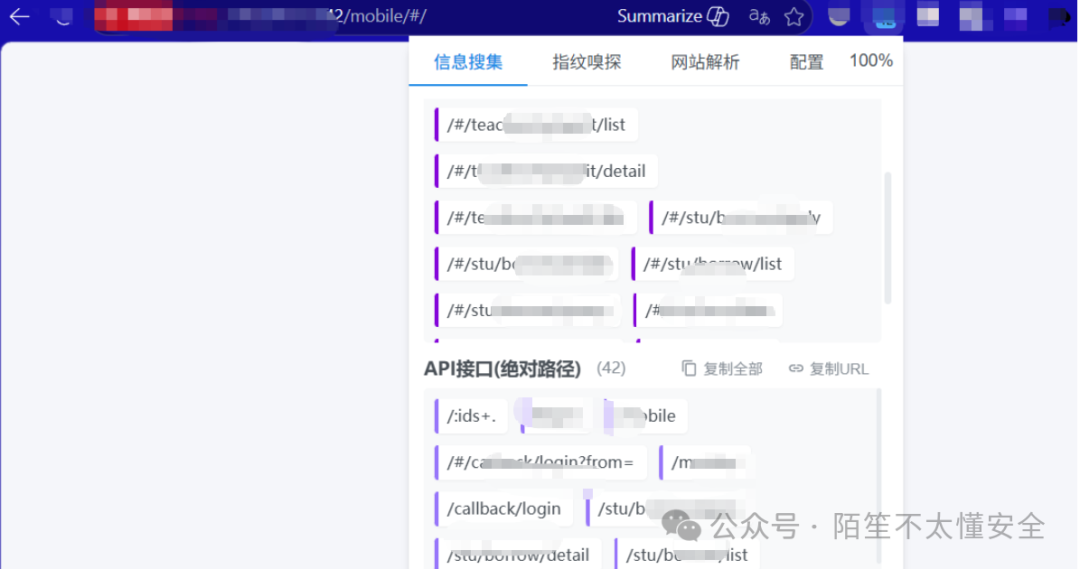 安全分析工具信息搜集页面截图,展示了部分路由路径和API接口的绝对路径列表