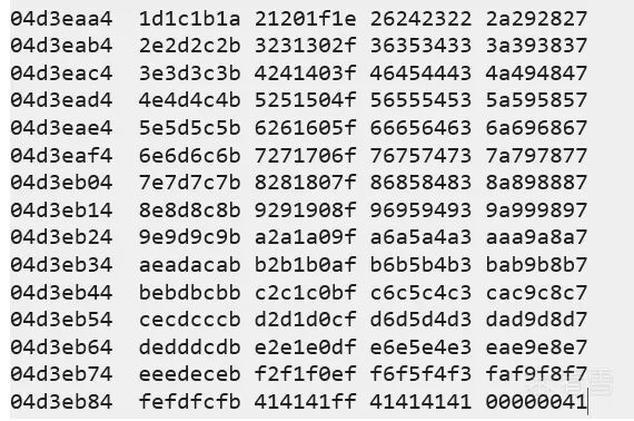 发送坏字符表后查看内存,数据正常显示