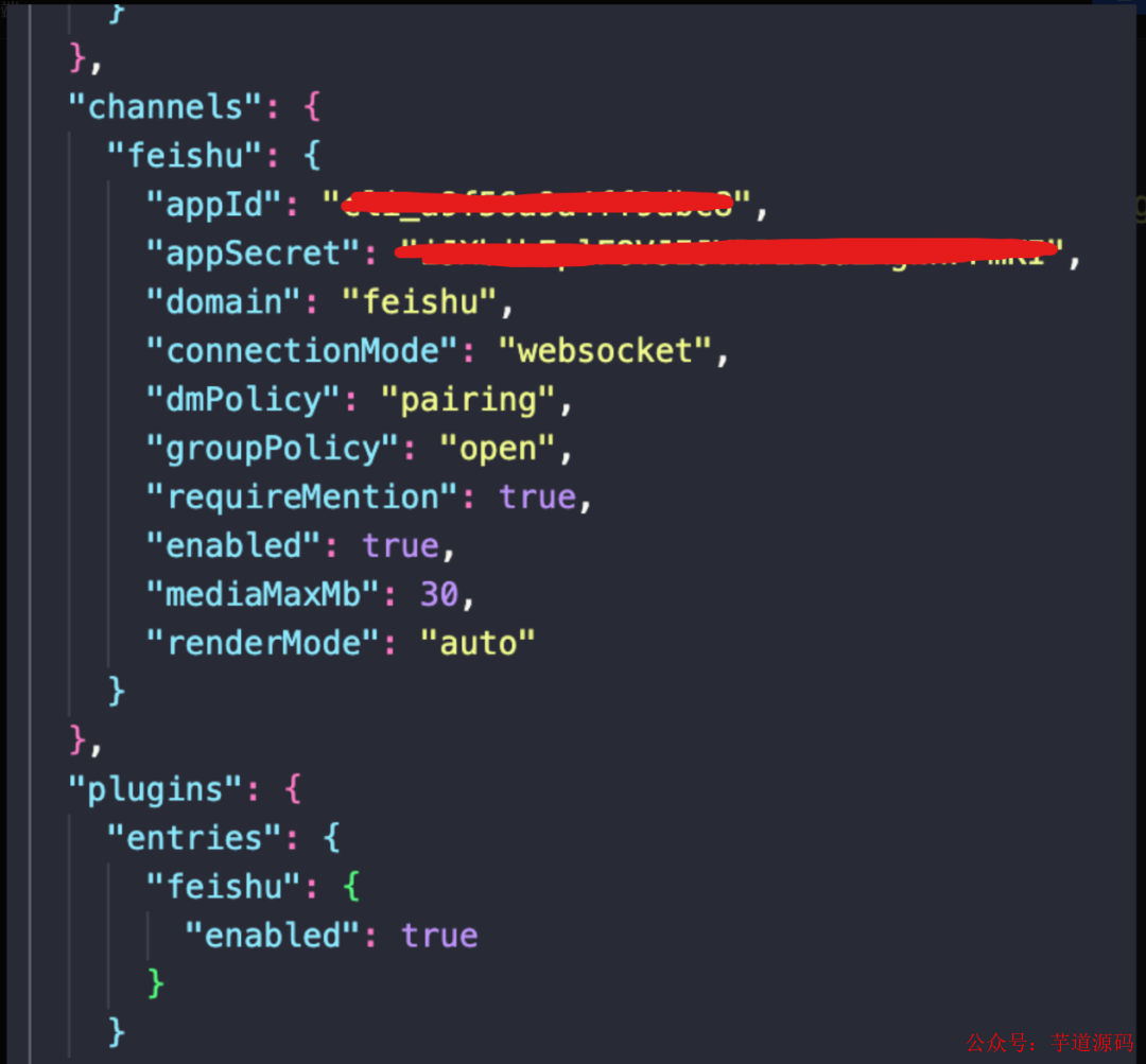 配置文件中的feishu channels配置示例截图