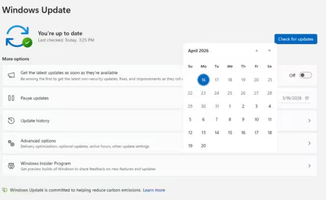 Windows 11 更新设置界面：已是最新状态及暂停选项