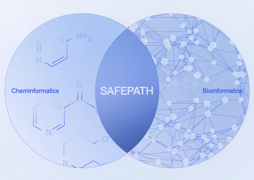 展示化学信息学与生物信息学交叉领域的SAFEPATH平台维恩图