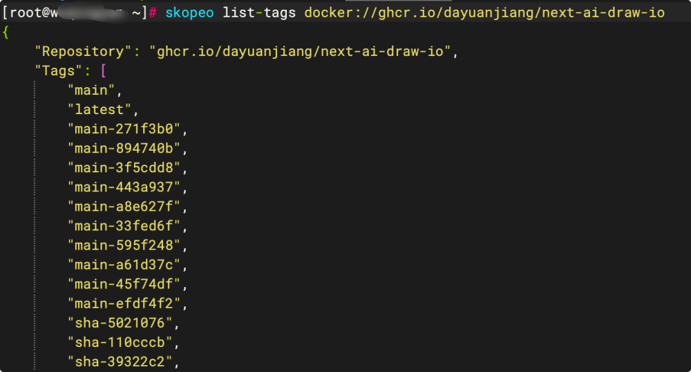 skopeo list-tags 命令输出 JSON 格式 tag 列表