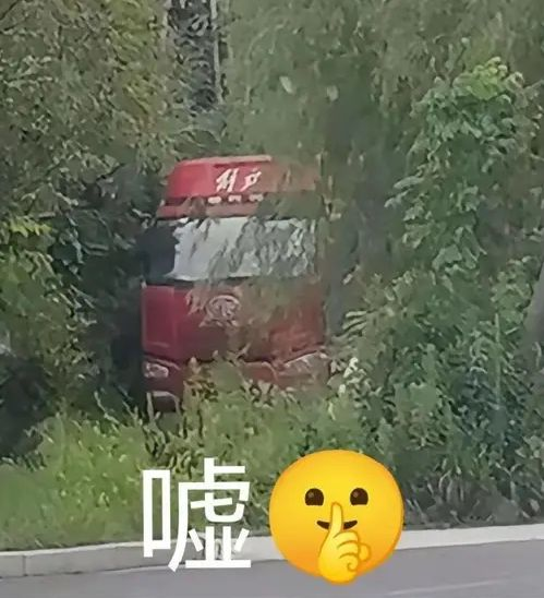 卡车躲在灌木丛表情包
