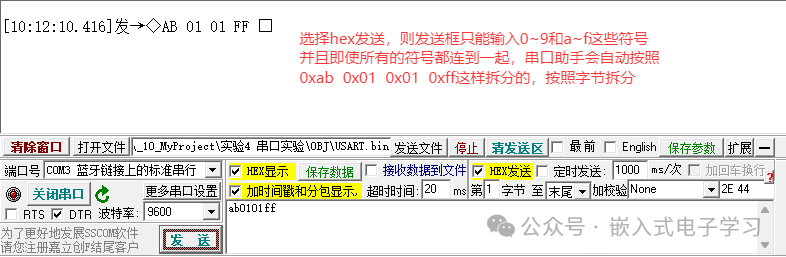 HEX发送模式下输入示例