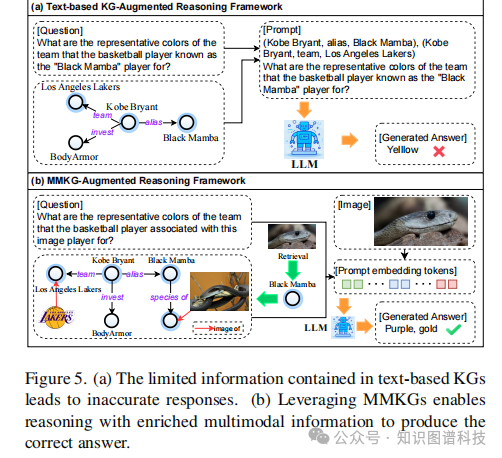 基于文本KG与多模态KG的推理效果对比