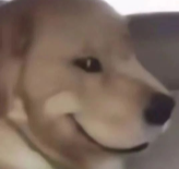 微笑的狗表情图