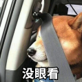 无奈柴犬表情包