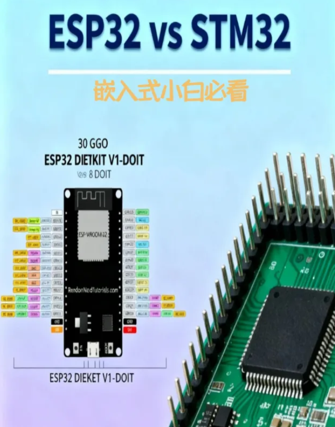 ESP32与STM32开发板实物对比图