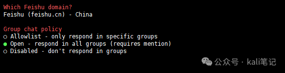 设置飞书群聊策略为Open