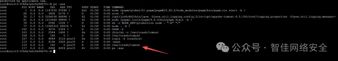 Linux ps 命令输出：PID 104 进程为 /var/crash/conncat，疑似木马