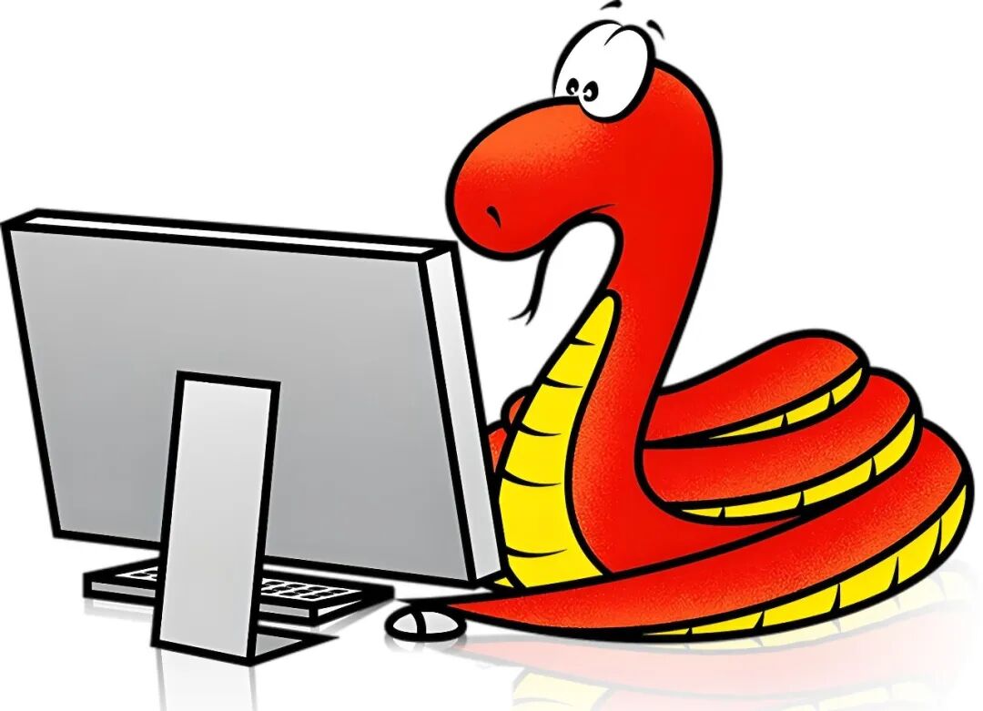 专注编程的卡通蛇