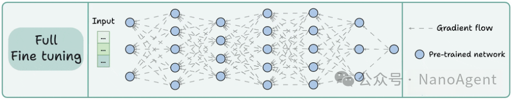 全参数微调结构示意图