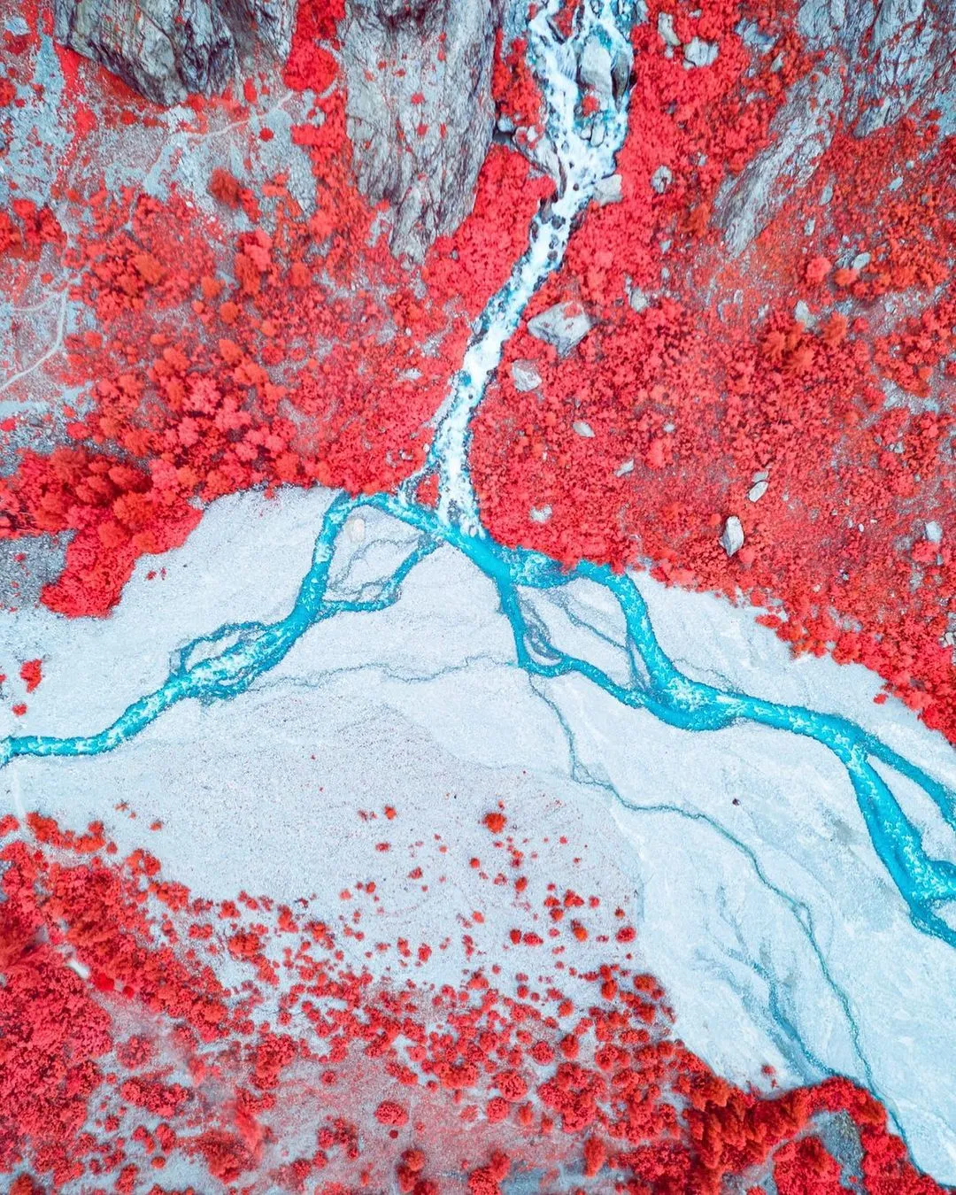 俯瞰视角下红绿交织的河流与地貌