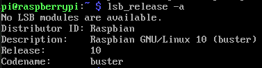 终端中lsb_release -a命令的输出，显示发行版为Raspbian