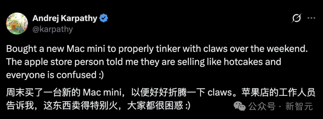 Andrej Karpathy关于购买Mac mini折腾Claws的推文截图