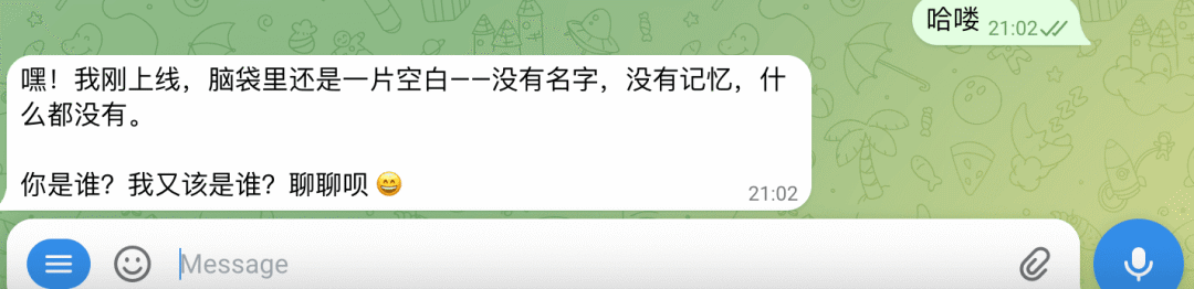 Telegram中与OpenClaw Bot成功对话