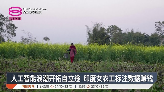 新闻报道截图：印度女性数据标注工在田间劳作
