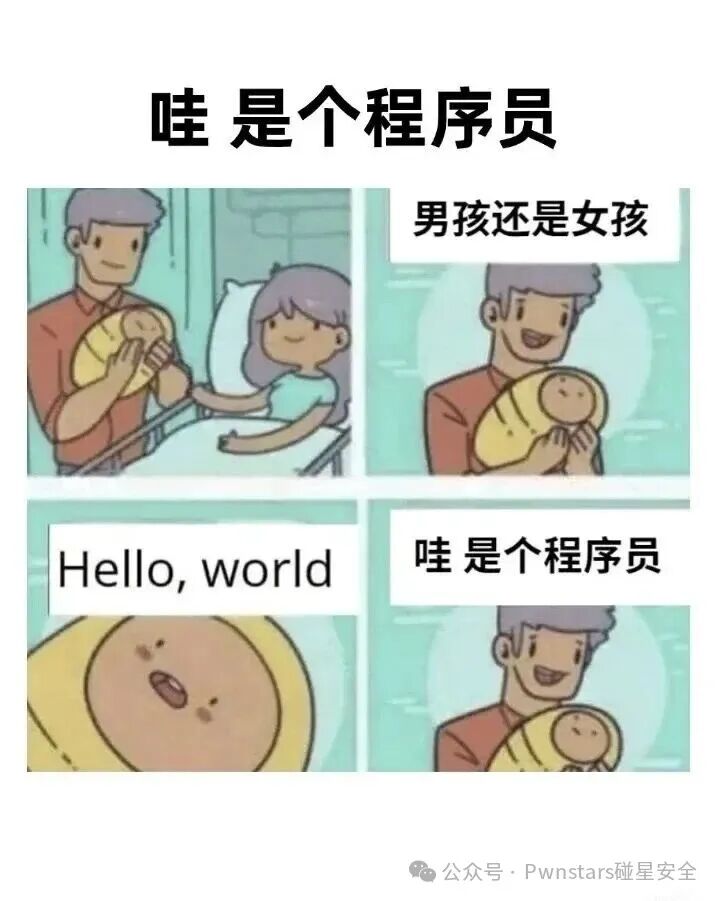 程序员幽默梗图:新生儿第一句话是‘Hello, world’