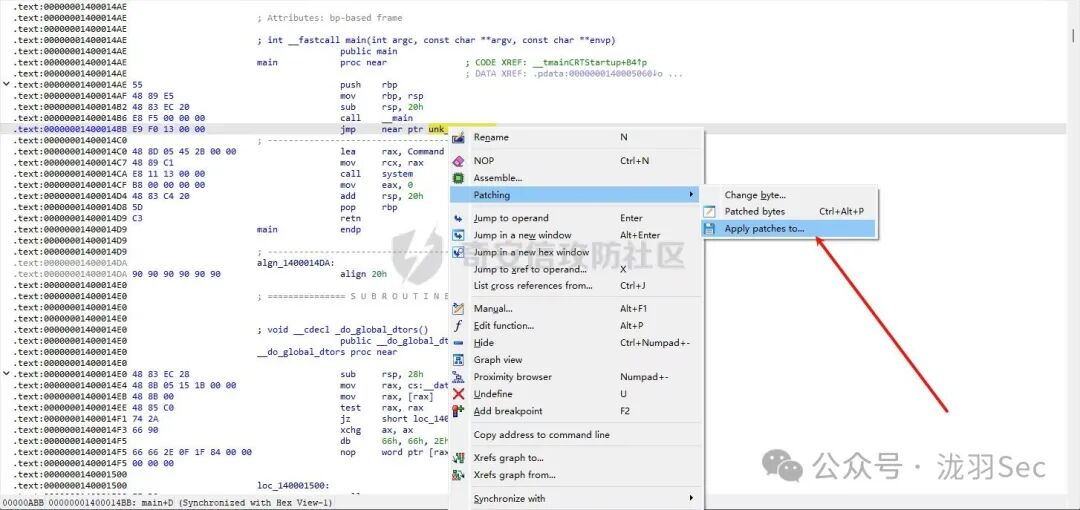 IDA应用补丁到输入文件的菜单