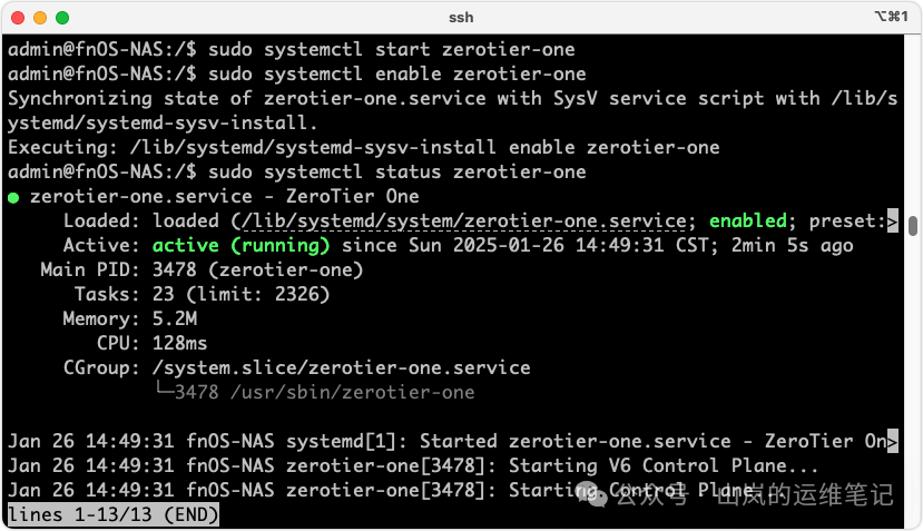 启动ZeroTier服务并检查状态