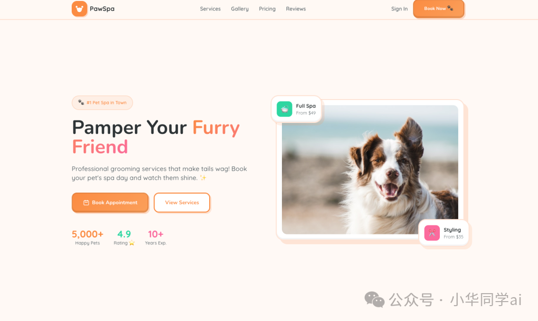宠物服务网站PawSpa界面示例