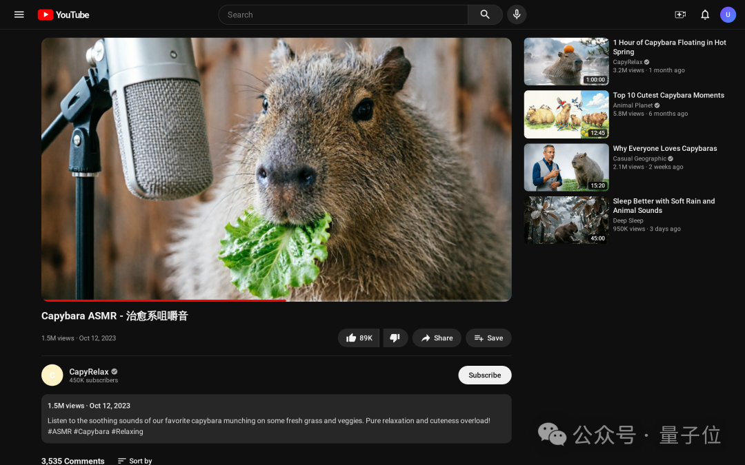 YouTube 视频页面（由 UniWorld-V2.5 生成）