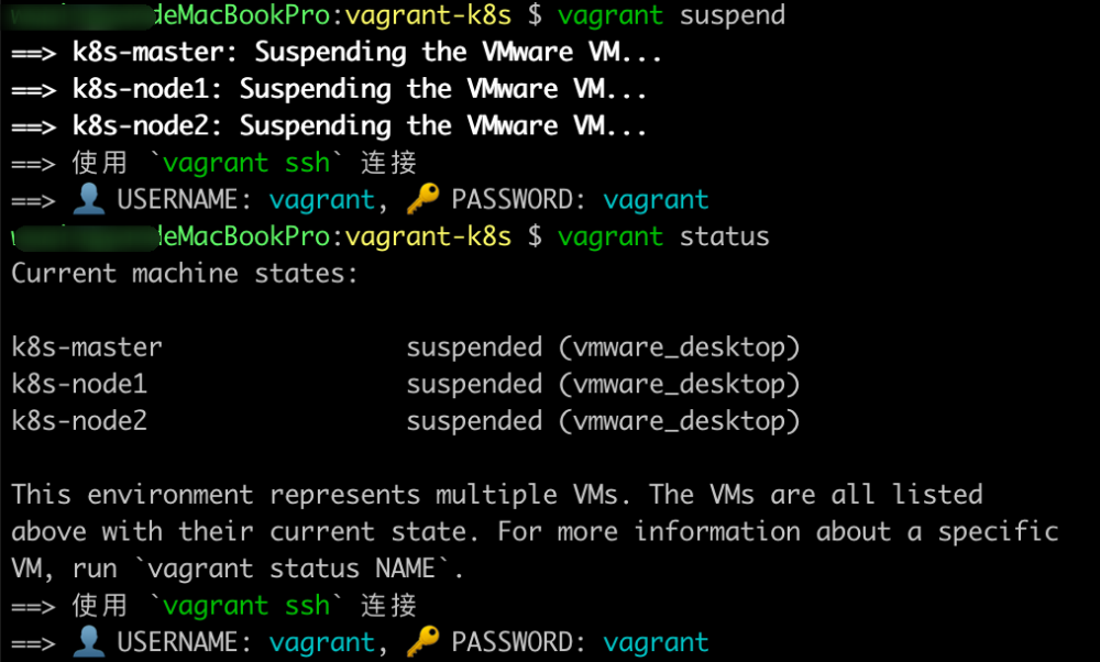 暂停虚拟机集群并查看状态