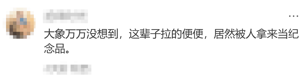网友评论:大象便便当纪念品