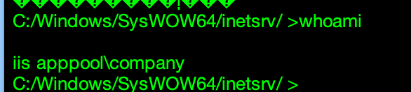 成功执行 whoami 命令的终端截图
