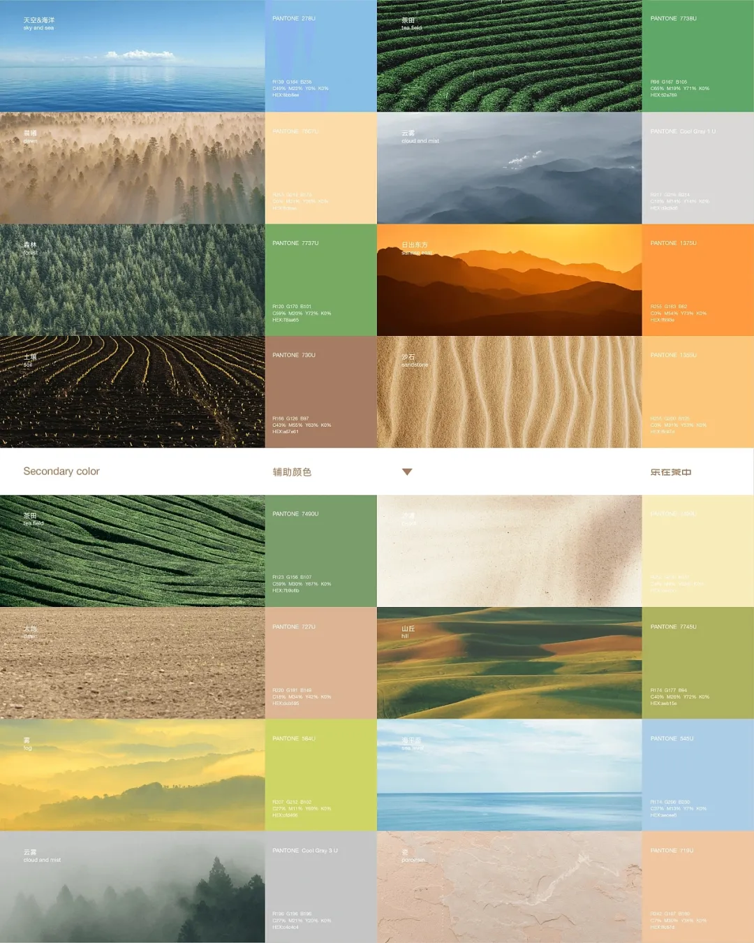 乐在茶中自然色彩灵感来源图