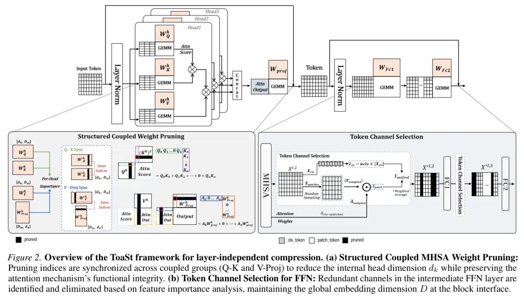 ToaSt框架层独立压缩概览：结构化耦合权重剪枝与令牌通道选择