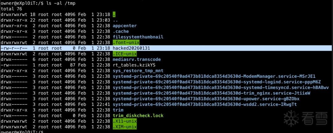 终端显示/tmp目录列表，其中包含成功创建的hacked20260131文件